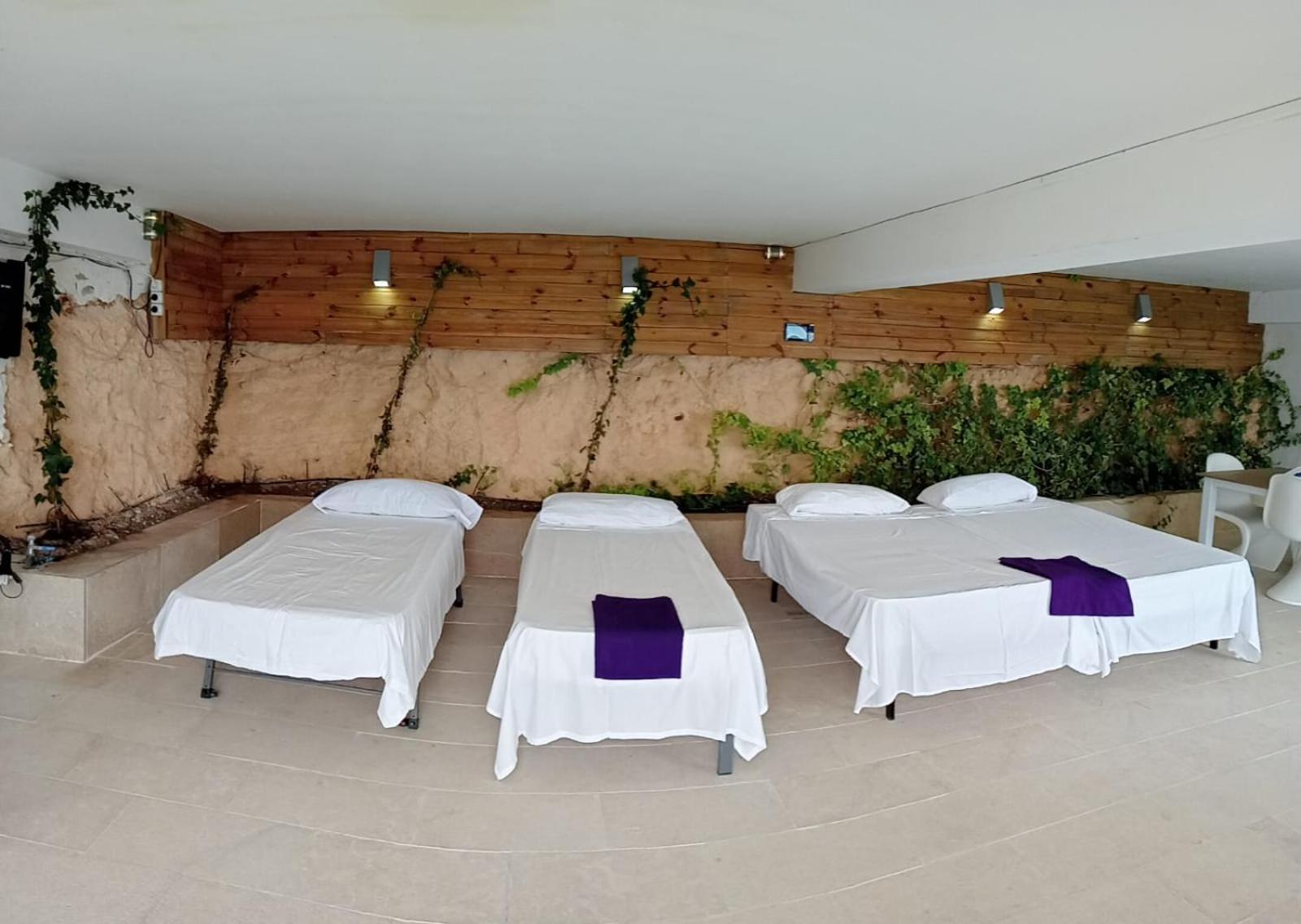 Exclusive Seafront Villa,Private Pool,Gym,Bbq El Toro  Dış mekan fotoğraf