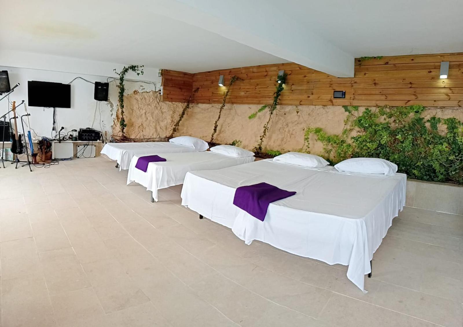 Exclusive Seafront Villa,Private Pool,Gym,Bbq El Toro  Dış mekan fotoğraf